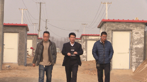 河北衡水阜城縣恒濱農業園